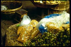 Nicaragua 1992/Platanos o Bananos, Nancites y Mamones