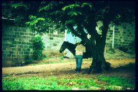 Nicaragua 1992/Comalapa/rider