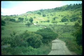 Nicaragua 1992/camino