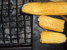 Maiskolben (Corn on the Cob)
