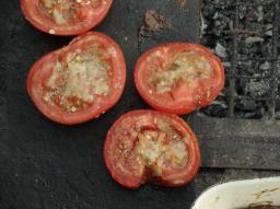 Tomaten/Paradeiser/tomatoes/Knoblauch/garlic/ein wenig Glut/glowing coals
