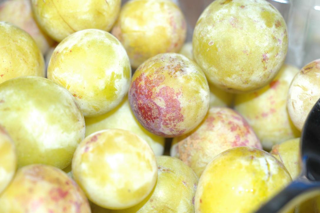 Kriecherl (Griecherl)/Austrian sour plums