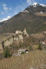 Schloss Tirol mit Weinhuegeln