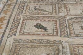 mosaico en la casa de los pajaros/Italica/Santiponce/Geohack: 