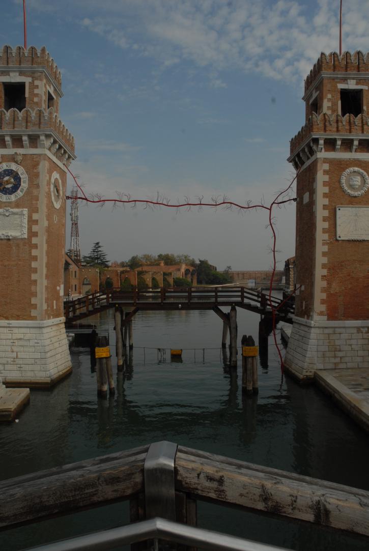 ... What If Roots Could Grow In the Waters of the Arsenale?/Dalya Yaari Luttwak/2011/Tribute to Venice on the occasion of the 54th Biennale d'Arte... What If Roots Could Grow In the Waters of the Arsenale?/Dalya Yaari Luttwak/2011/Tribute to Venice on the occasion of the 54th Biennale d'Arte/