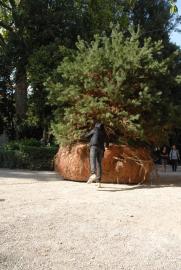 Biennale 2015, Giardini/French Pavilion/Biennale 2015, Giardini/Céleste Boursier-Mougenot: Kinetic Forest