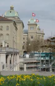 Bundeshaus mit Märzenbecher/Bern/Berne Schweiz/Switzerland
