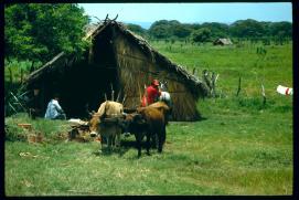 Nicaragua 1992/cabana al lado de la carretera
