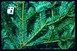 USA Weihnachten 1993/1994/Baum Detail