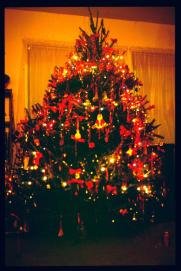 USA Weihnachten 1993/1994/christmas tree