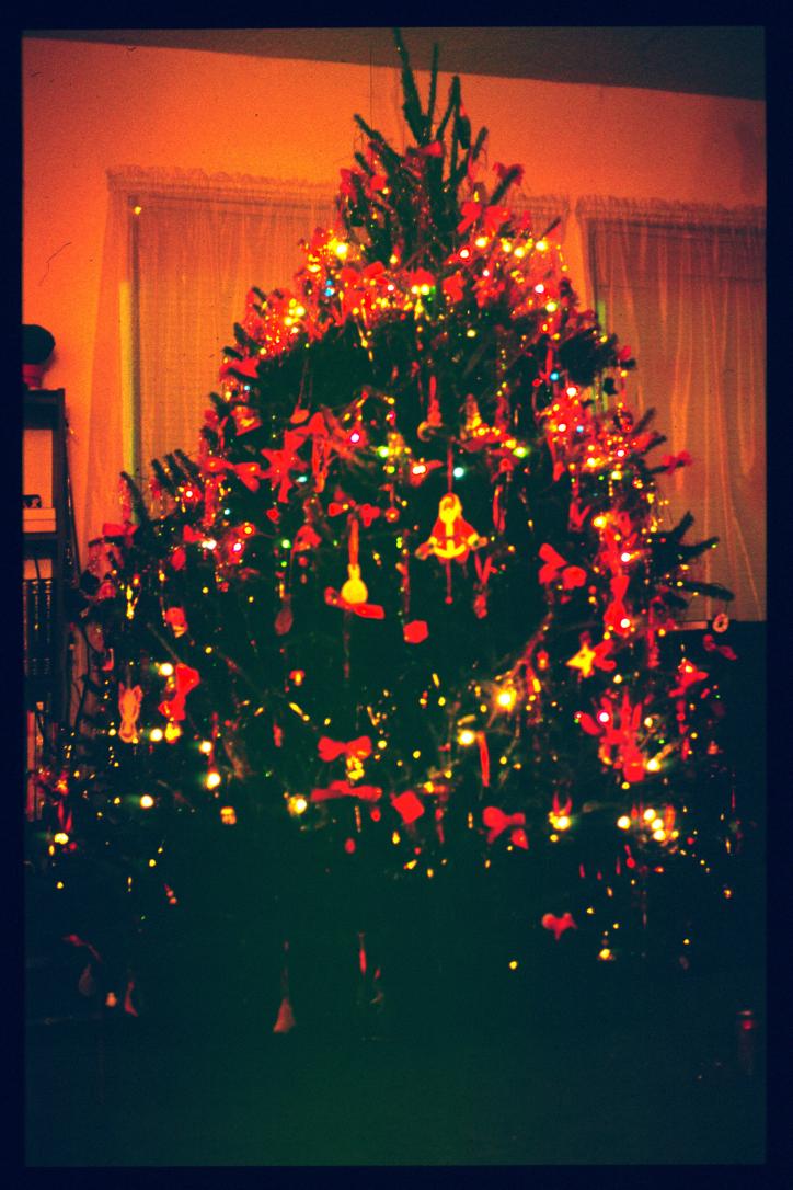 USA Weihnachten 1993/1994/christmas tree