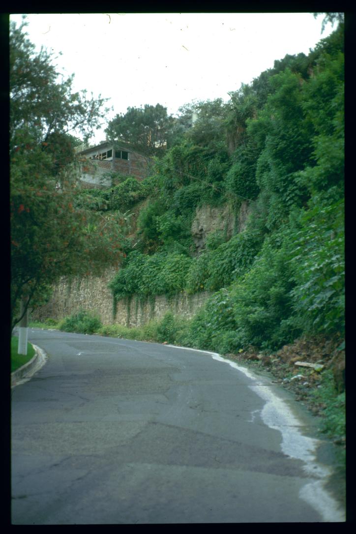 El Salvador 1995/una collina en san salvador