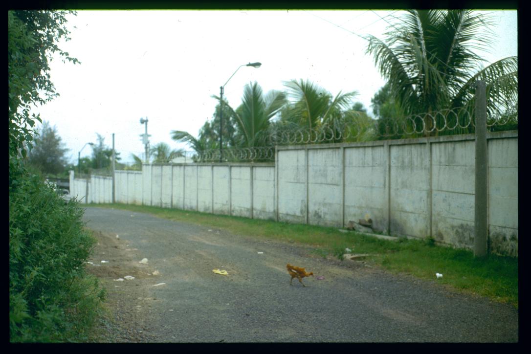 El Salvador 1995/muros, alambra, pollo