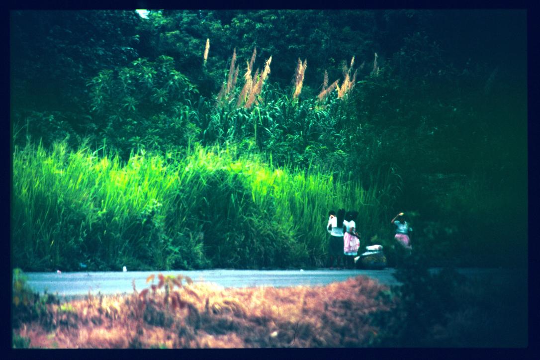 El Salvador 1995/mujeres al lado de la carretera/caña
