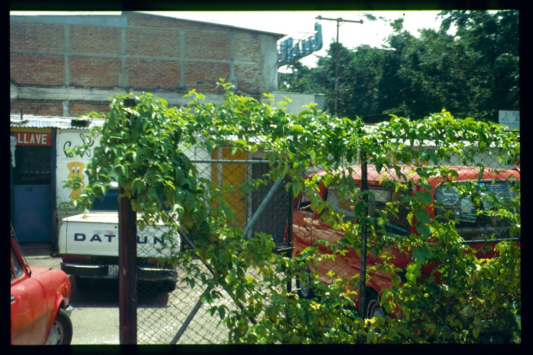 El Salvador 1995/carros/bar piolin