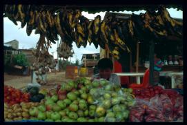 Guatemala 1996/venta de verduras, vendedor