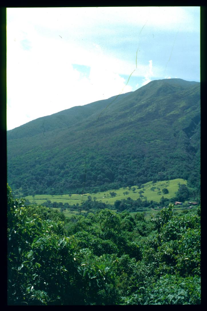 Guatemala 1996