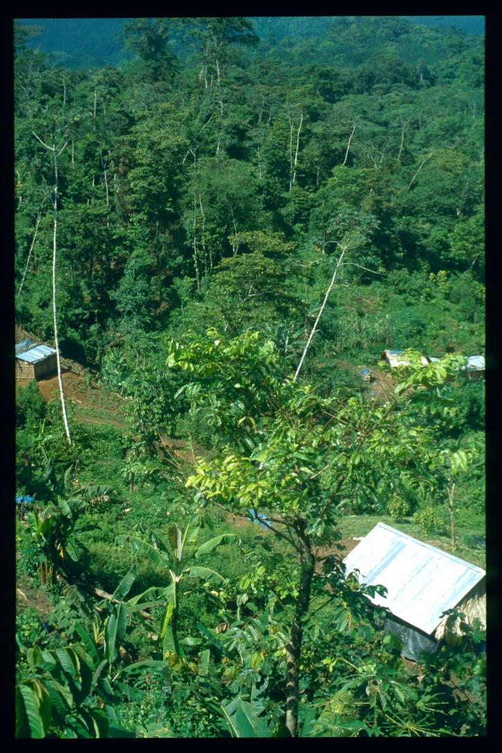 Guatemala 1996/San Juan Ixcán