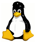 che guevara beret tux penguin